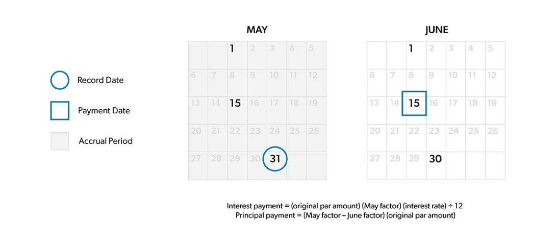 Capital Market Product Visuals Fixed Giant Payment Date 